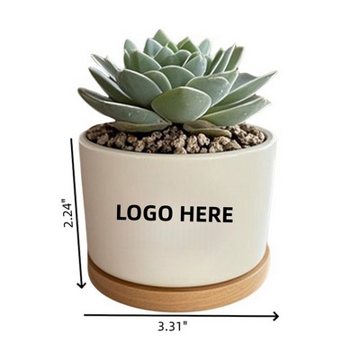 Mini Succulent Planter Pot with Tray