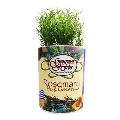 Rosemary Garden in Eco-Friendly Grocan